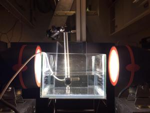 WhatsApp Image 2017-06-20 at 15.15.33