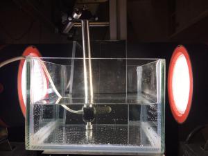 WhatsApp Image 2017-06-20 at 15.15.49