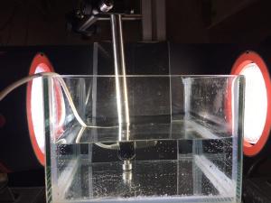 WhatsApp Image 2017-06-20 at 15.15.52